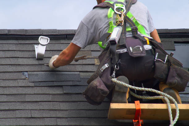 Best Roof Gutter Cleaning  in Saluda, SC